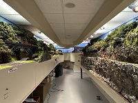 Bear Cliffs and Canyon Aisle